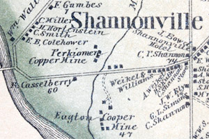 1877 map of Shannonville (Audubon, PA)